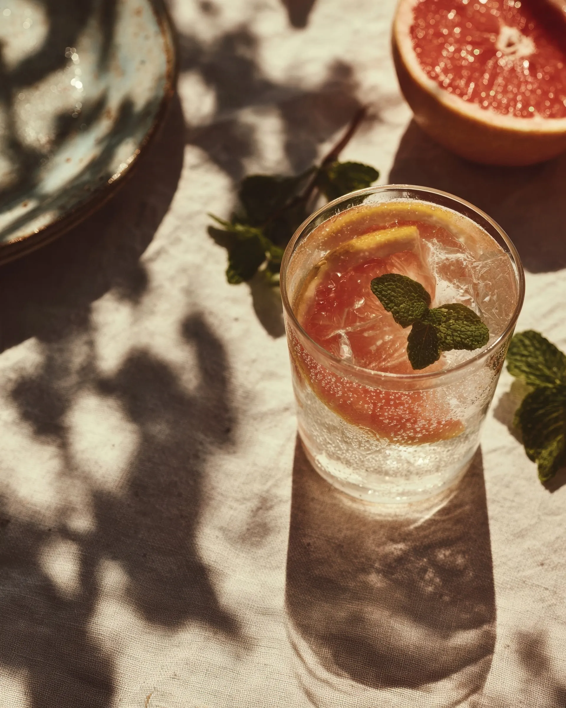 Aster over ice with grapefruit and mint, crossed by leaf shadows — the drink as it is served